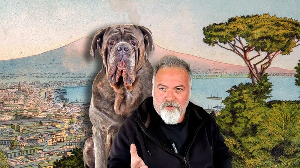 Immagine